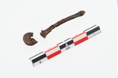 Etikett zu Bronzekugelkopfnadel (NHMW-PRAE-048345)